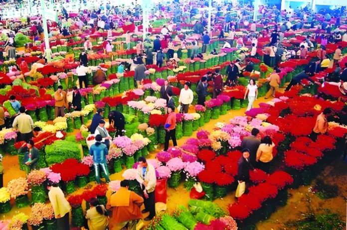 Dounan Flower Market