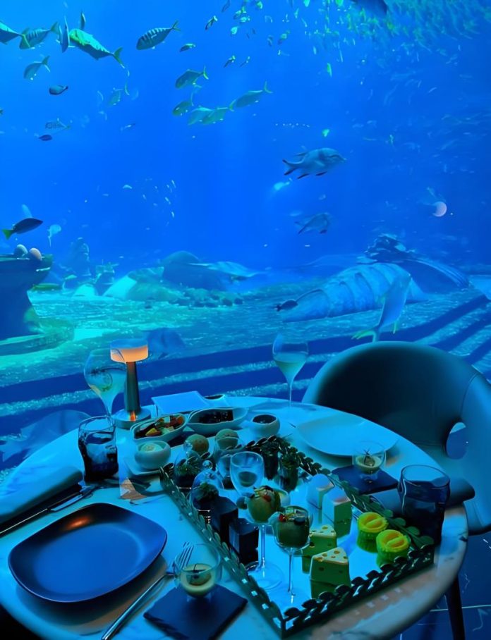 Dining Beneath the Waves