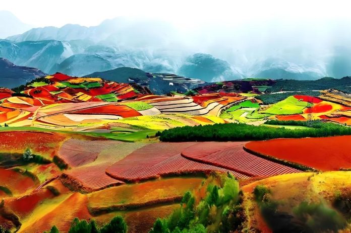 Dongchuan Red Land