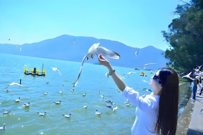 Dian Lake & Haigeng Dam
