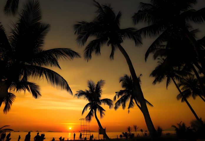 Coconut Dream Corridor