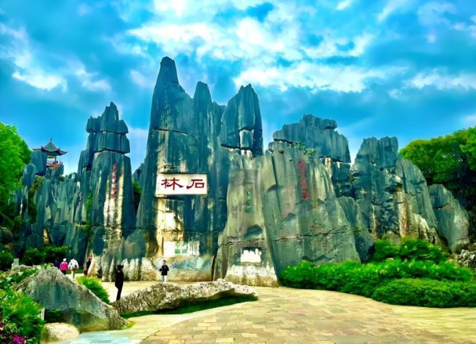 Stone Forest