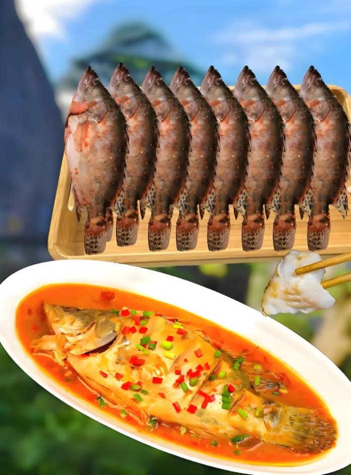 Stinky Mandarin Fish