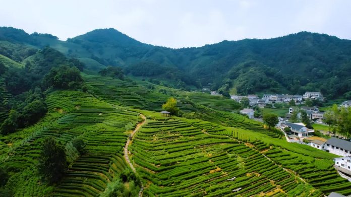 Jiuxi Eighteen Streams and Longjing Village