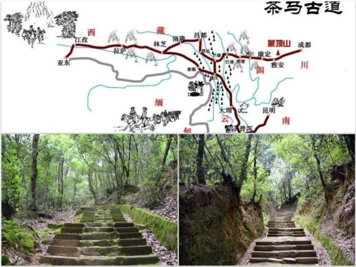 the Ancient Tea Horse Road