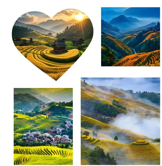 1111